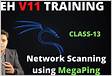 Network scanning using megaping gui tools step by step guid